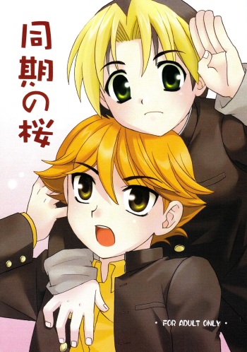 Douki no Sakura cover