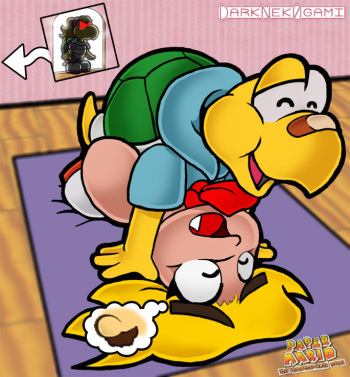 Koopas cover