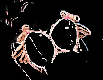 Animated gifs Part 5 cover
