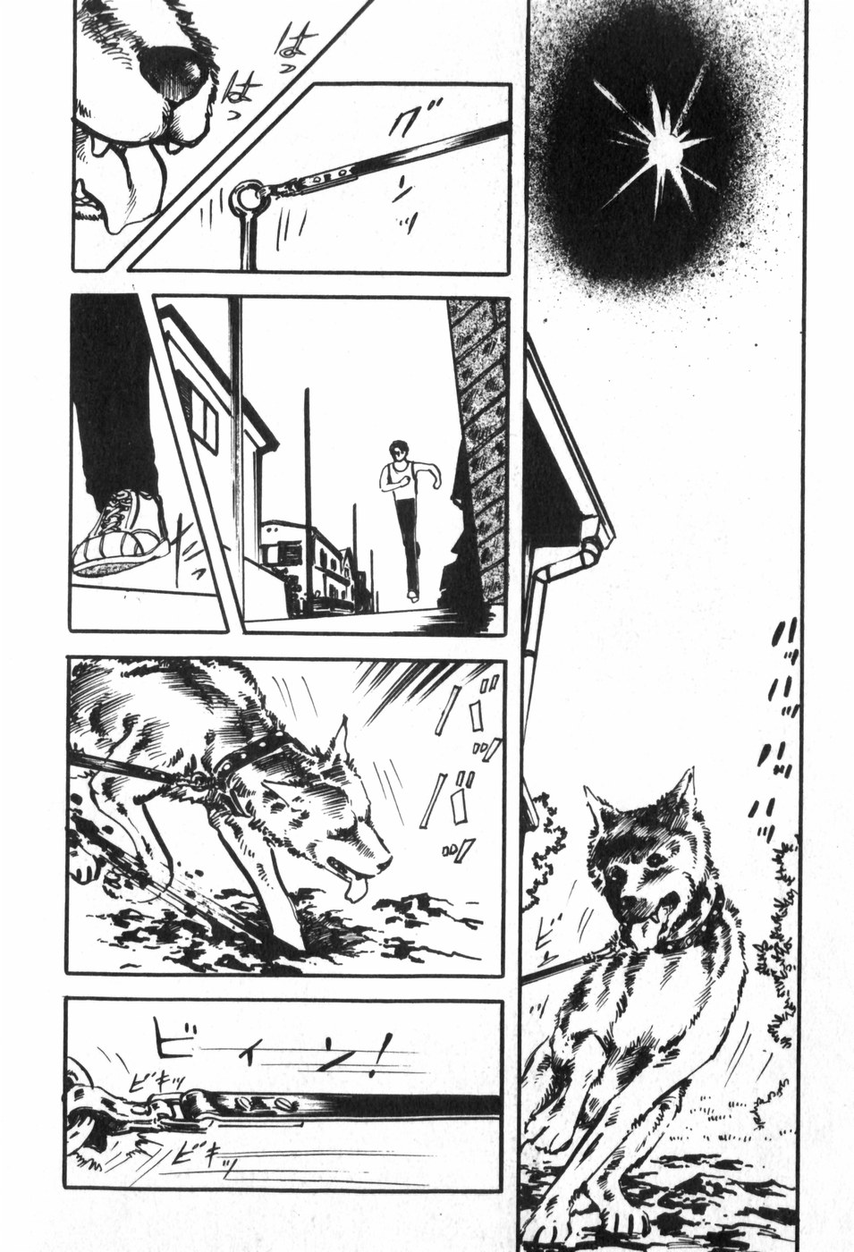 Toorima page 8 full