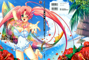 Last resort cover
