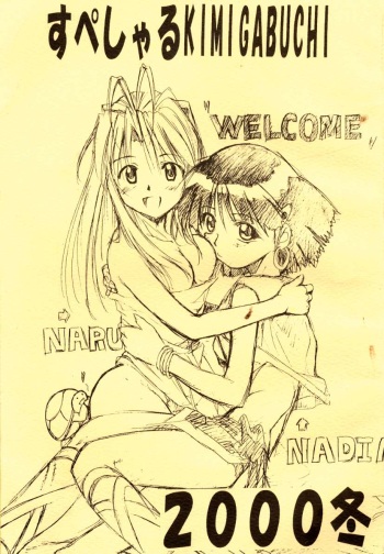 Special Kimigabuchi 2000 Fuyu cover