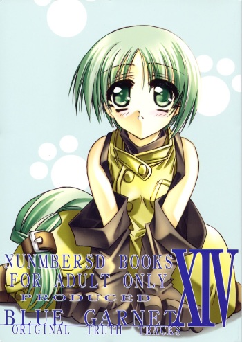 BLUE GARNET XIV SKY cover