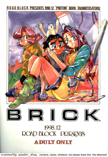 Brick cover