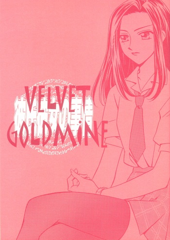 VELVET GOLDMINE cover