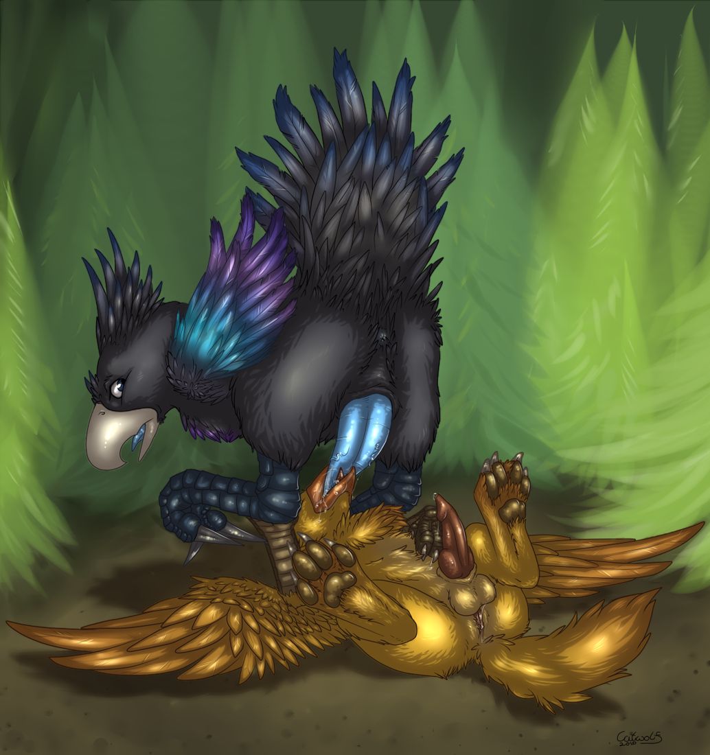Furry Various Species page 8 full