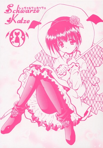 Schwarze Katze cover