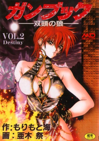 Gunbook -Soutou no Ookami- 2 - Destiny cover