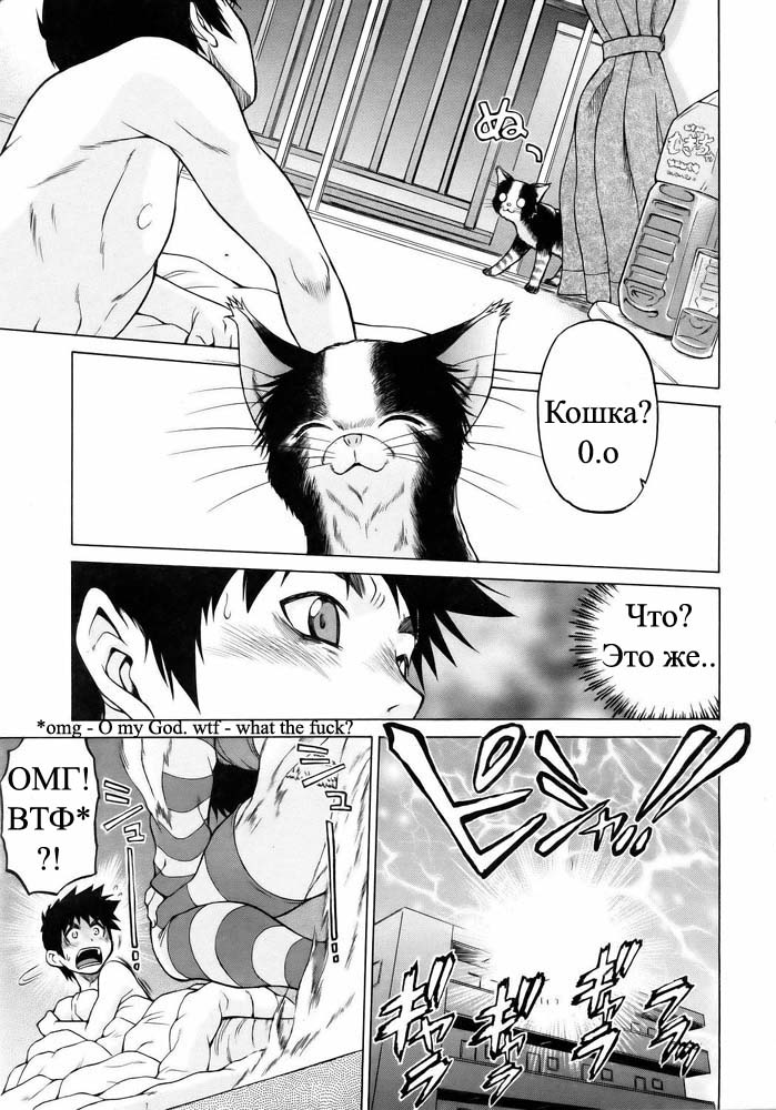 Miracle Cat Punch / Чудесная кошечка page 8 full