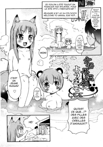 Kemomimi Onsen e Youkoso | Welcome to Animal Ear Hot Spring cover
