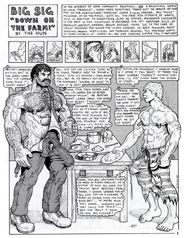 #6 Mule Muldoon Plows page 2 full