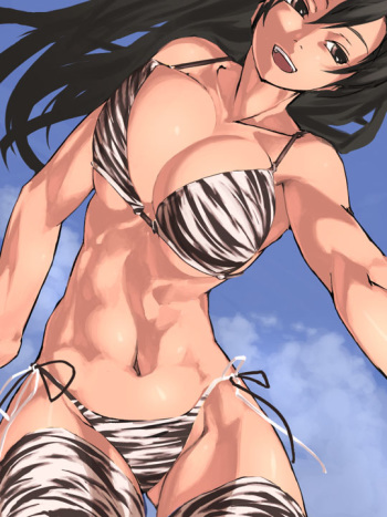 Ecchi &amp; Hentai Collection 14 cover