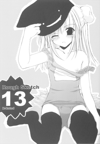 Rough Sketch 13 cover