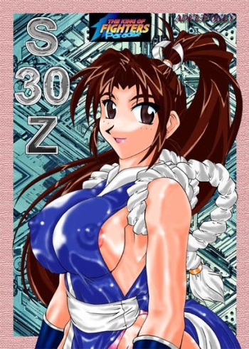S30Z cover