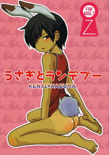 Usagi to Rendezvous cover