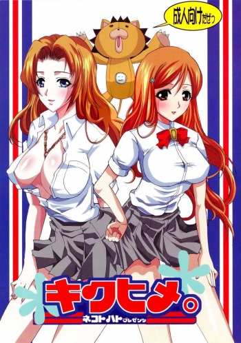 Kiku Hime. cover