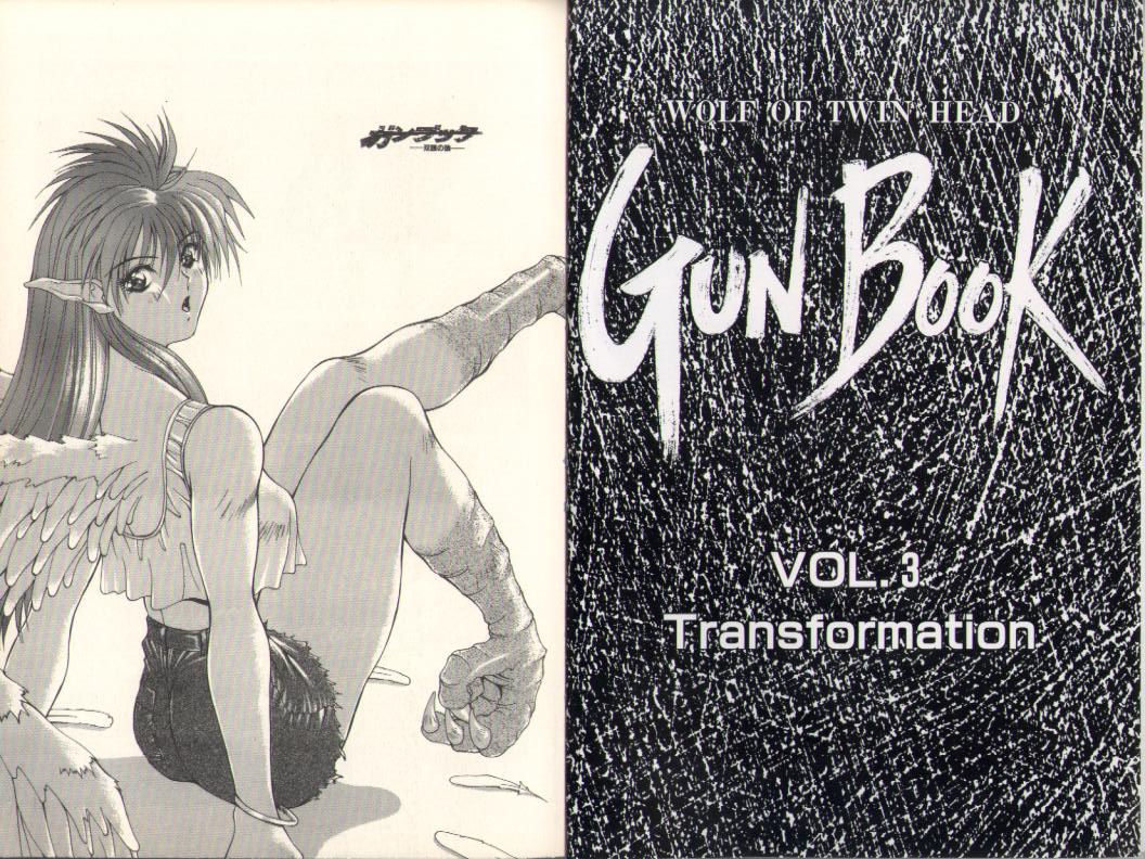 Gunbook -Soutou no Ookami- 3 - Transformation page 3 full