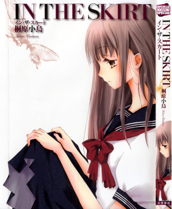 IN THE SKIRT cover