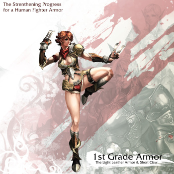 The Chick's In The Mail - Women in Armor cover