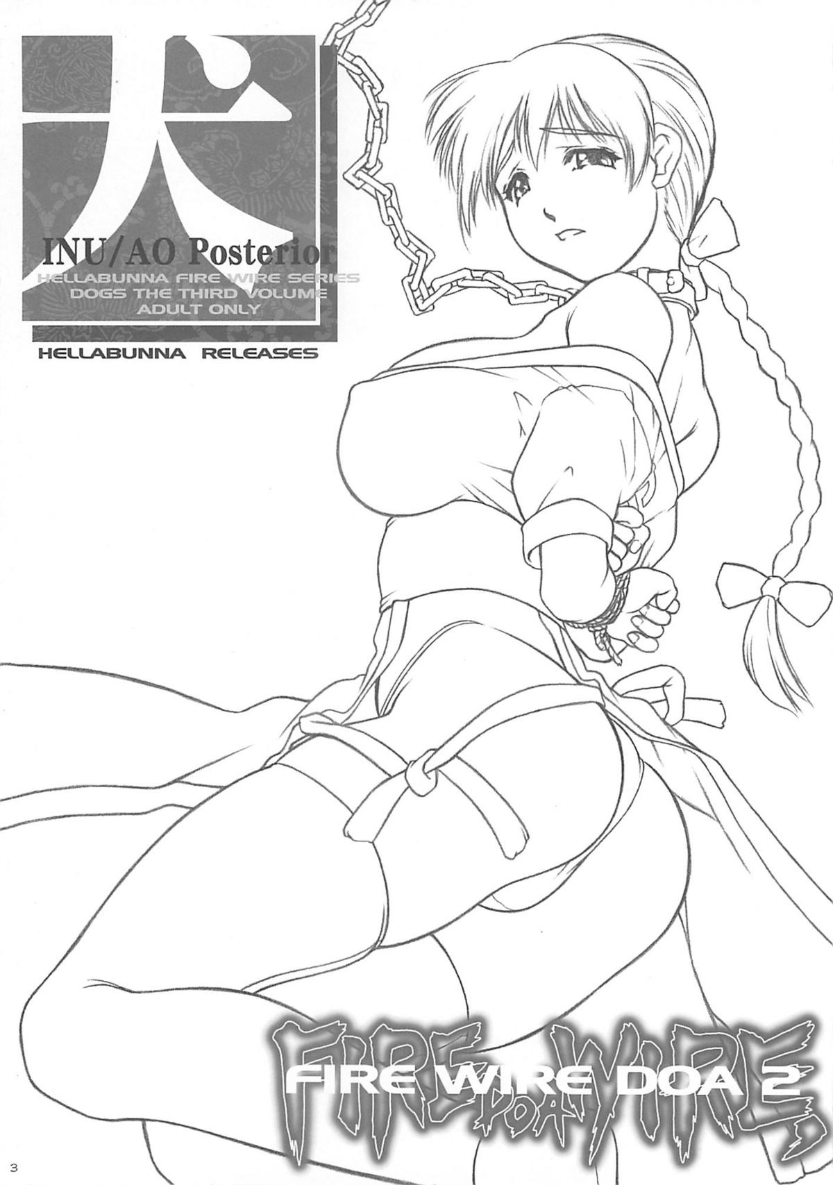 INU/AO Posterior page 2 full