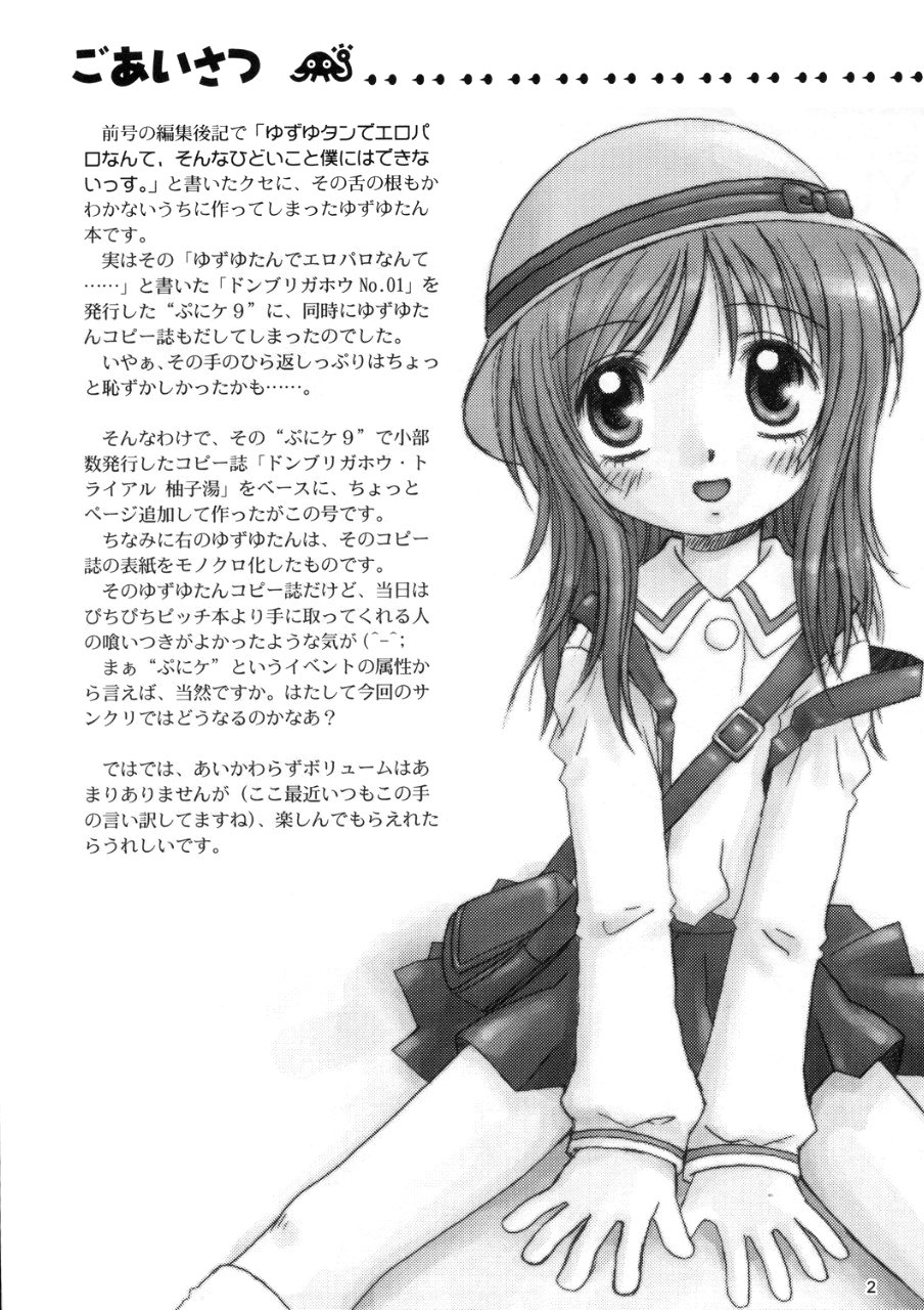 DONBURI GAHOU No.02 page 2 full