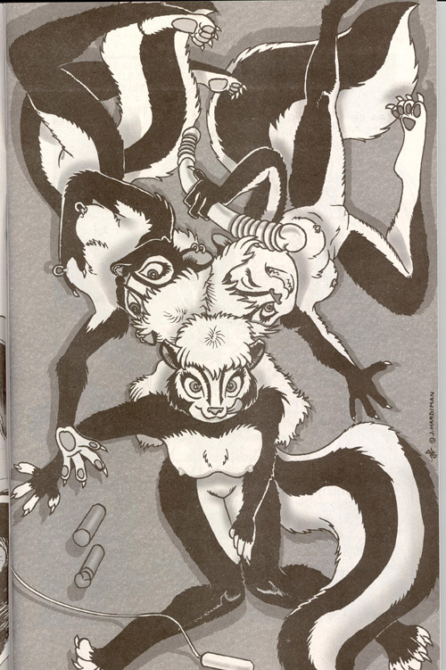 Skunkworks Reflections page 7 full
