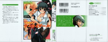 Samurai Girl Vol. 4 ~ Moeyo Ken cover