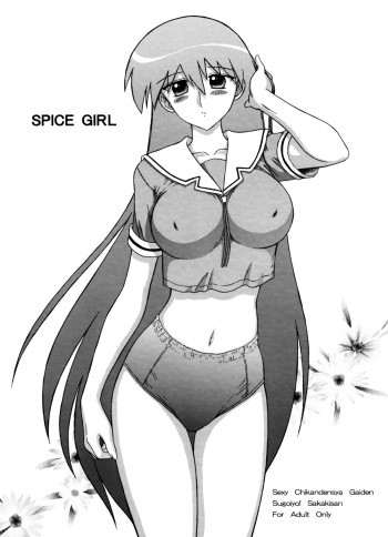 Spice Girl cover