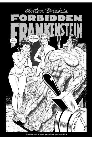 Forbidden Frankenstein cover