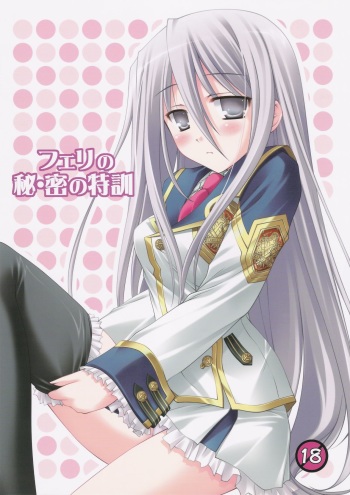 Felli no Hi-Mitsu Tokkun cover