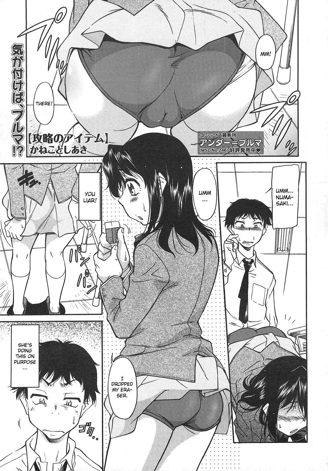 Kouryaku no item page 1 full