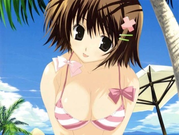 Swimsuit cover