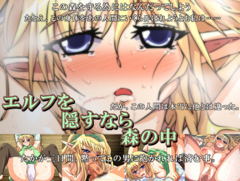 Elf wo Kakusu Nara Mori no Naka cover