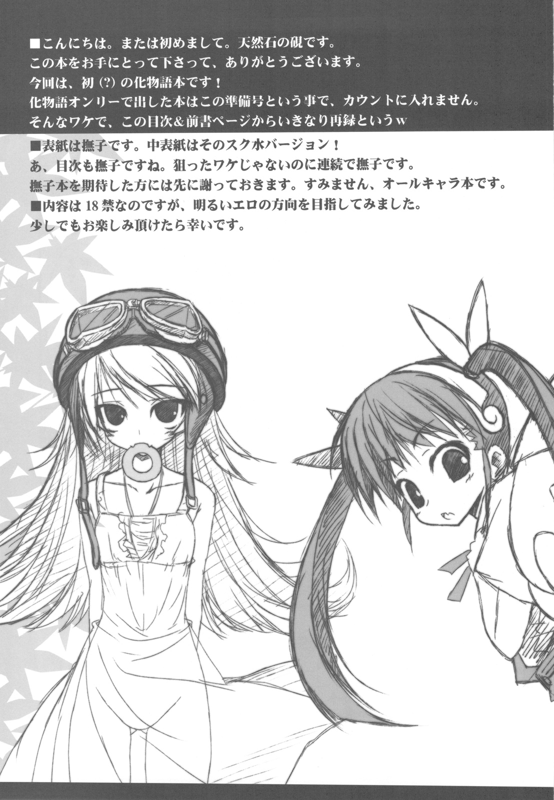 Iromonogatari page 5 full