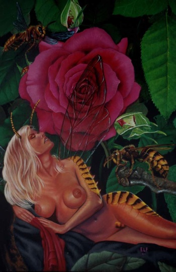 Artist Gallery - E cover