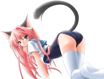 My Assorted Nekos cover