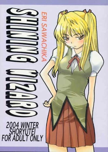 SHINING WIZARD cover