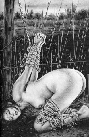 Shibari page 9 full