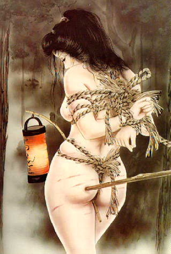 Shibari cover