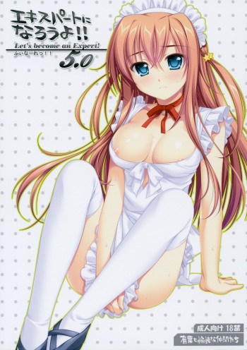 Expert ni Narouyo!! 5.0 - Let's Become an Expert! cover