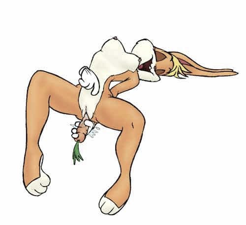 Looney Tunes - Lola Bunny Compilation page 4 full