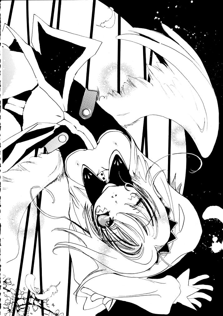 NEKONEKO TAIKAI2 page 3 full