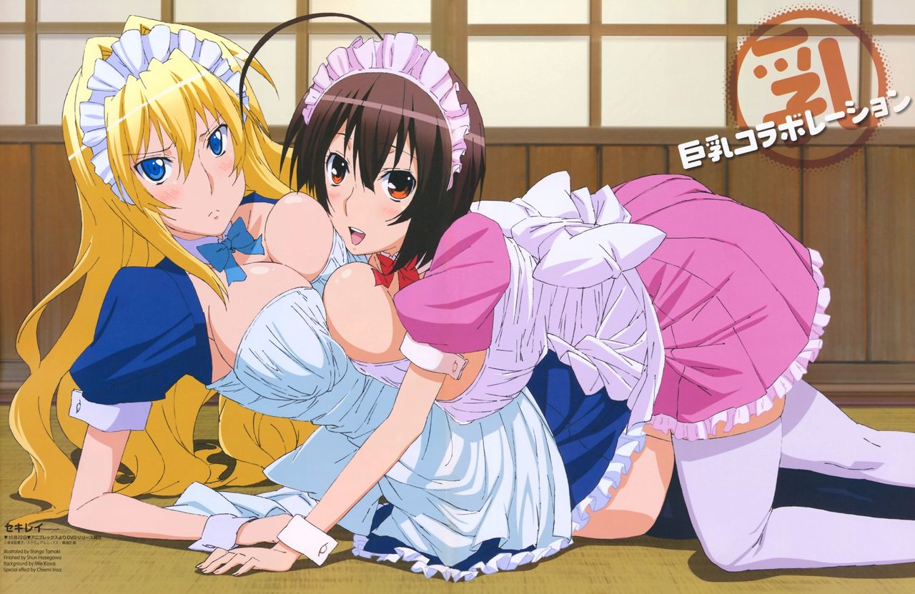 Sekirei Artbook page 5 full