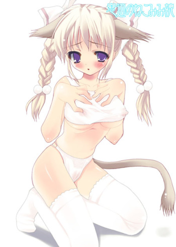 Assorted Ecchi Collection #060 cover
