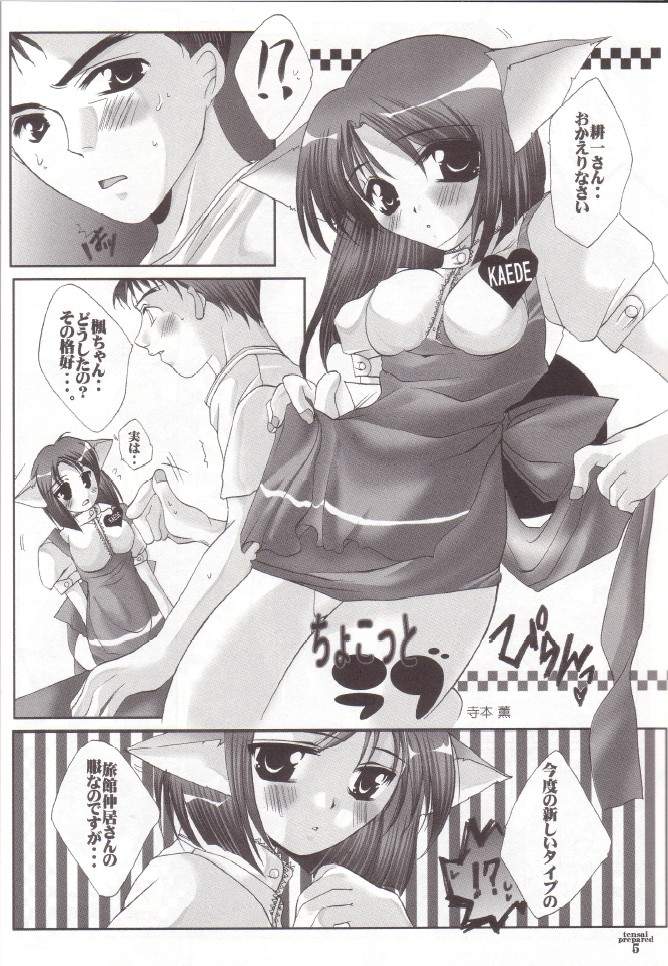 Tensai Preparate page 4 full