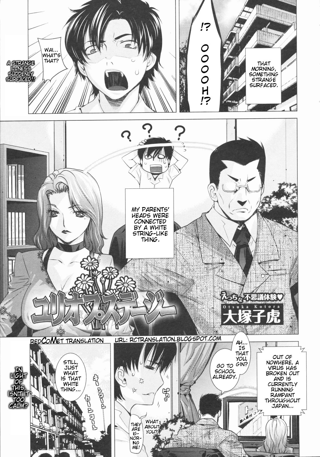 Euryops Daisy page 1 full