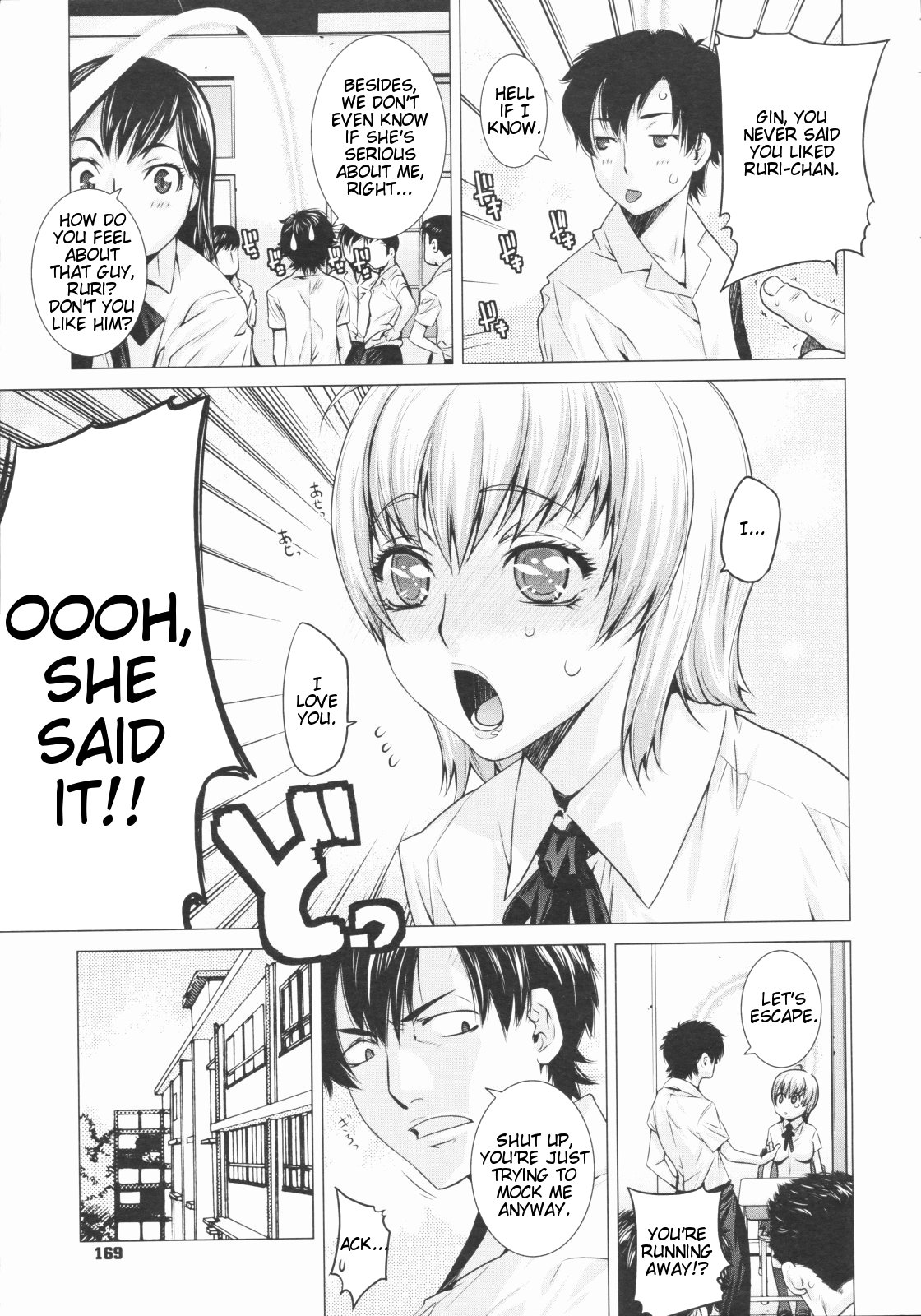 Euryops Daisy page 5 full