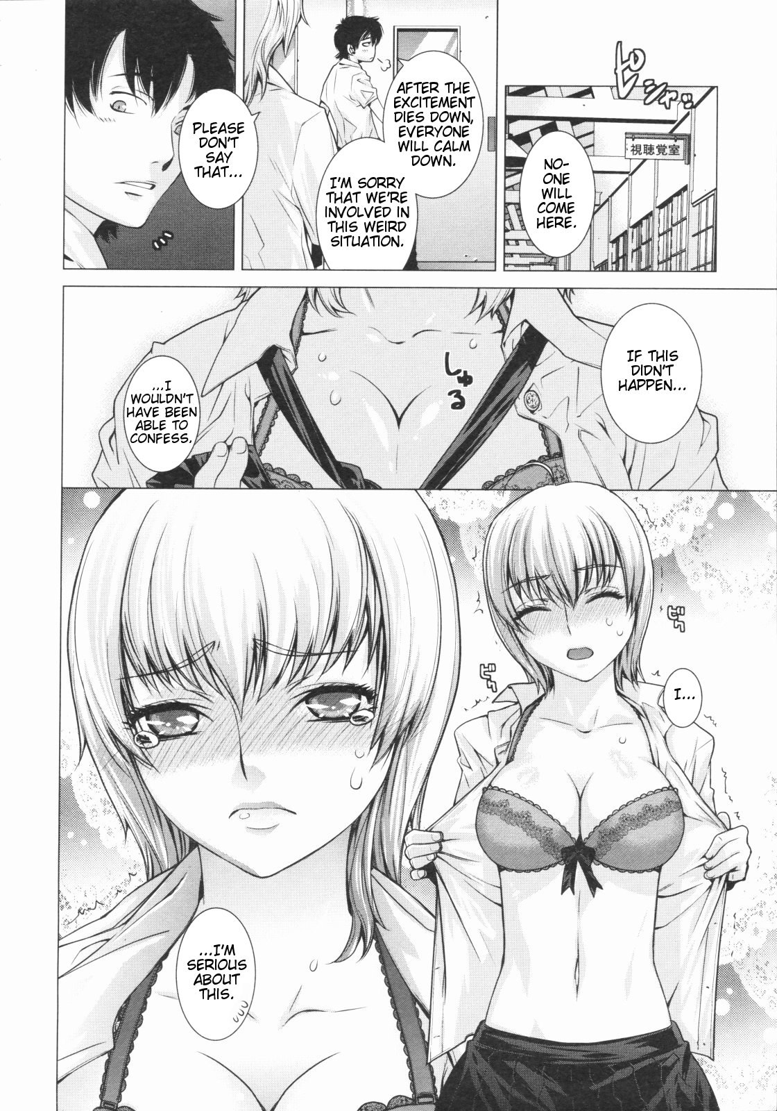 Euryops Daisy page 6 full