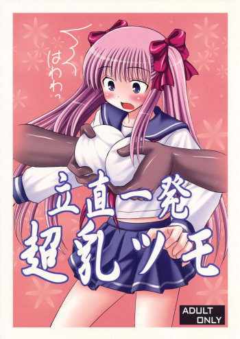Ri-chi Ippatsu Chou Chichi Tsumo cover