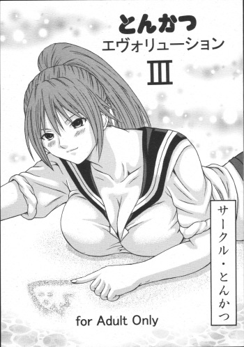 Tonkatsu Evolution Ⅲ cover